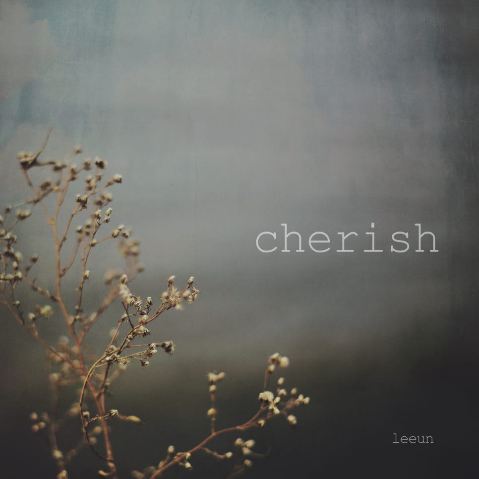 leeun - cherish single 2024